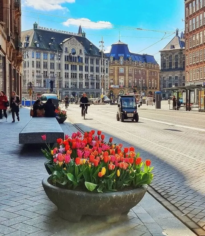 Dam Square