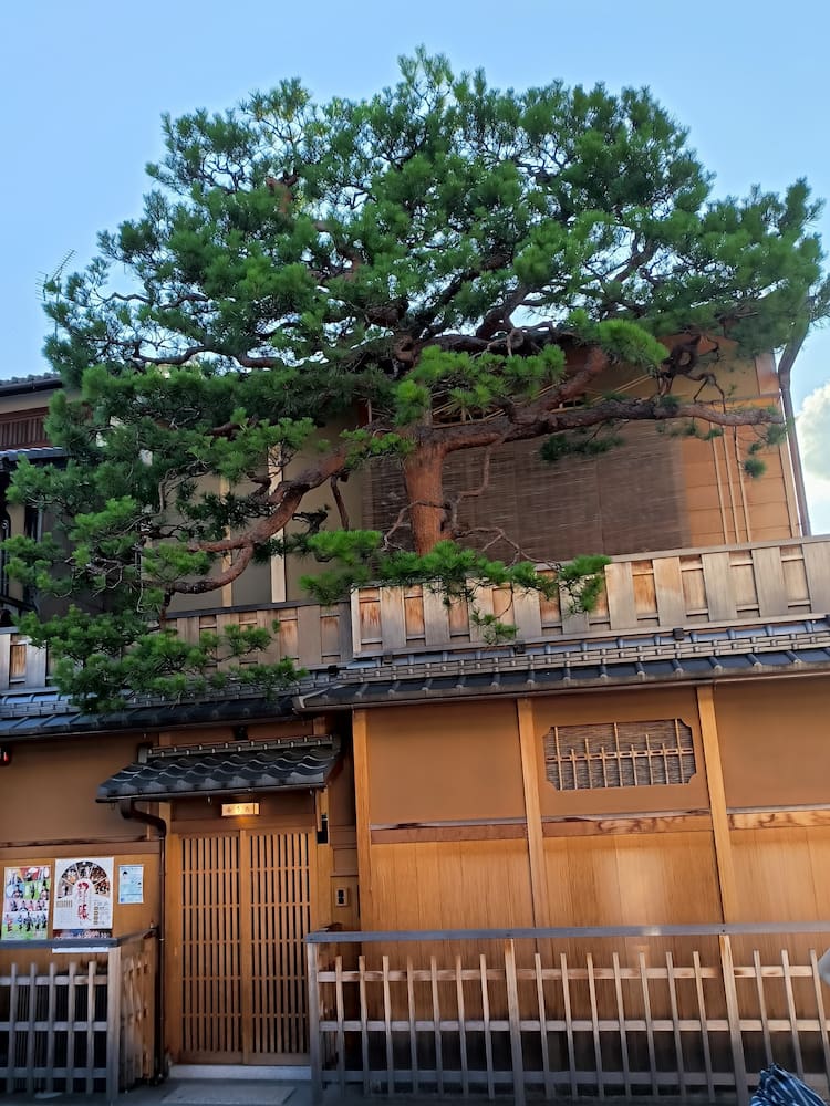 Hanamikoji Street