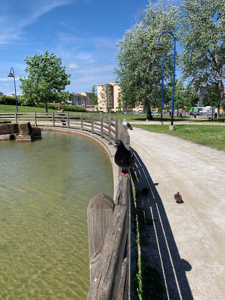 Parco San Donato