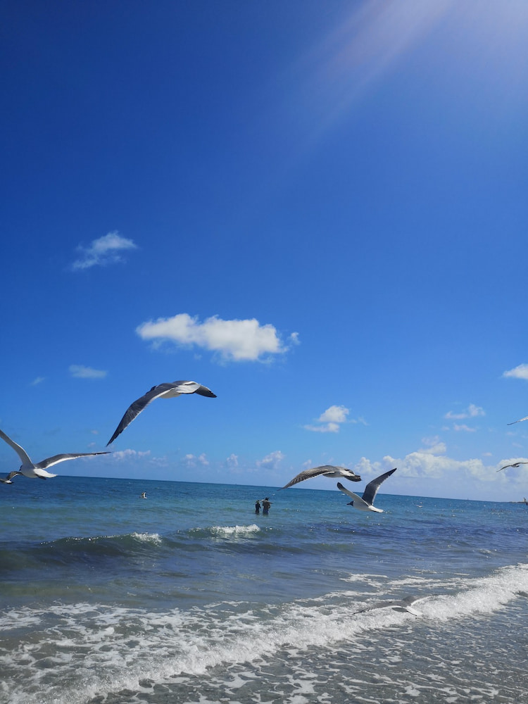 Playa de Crandon