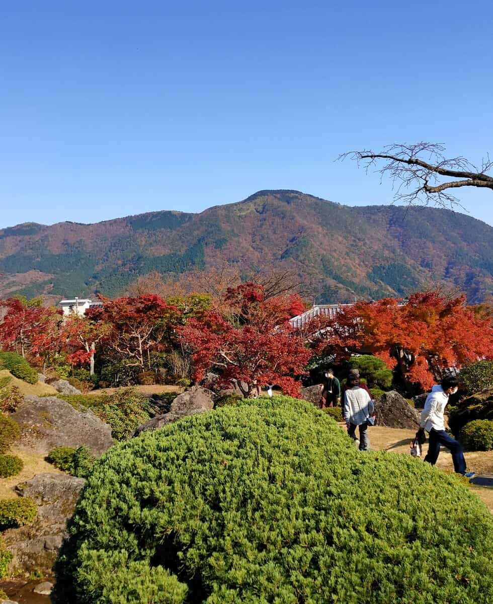 Parque Hakone Gora