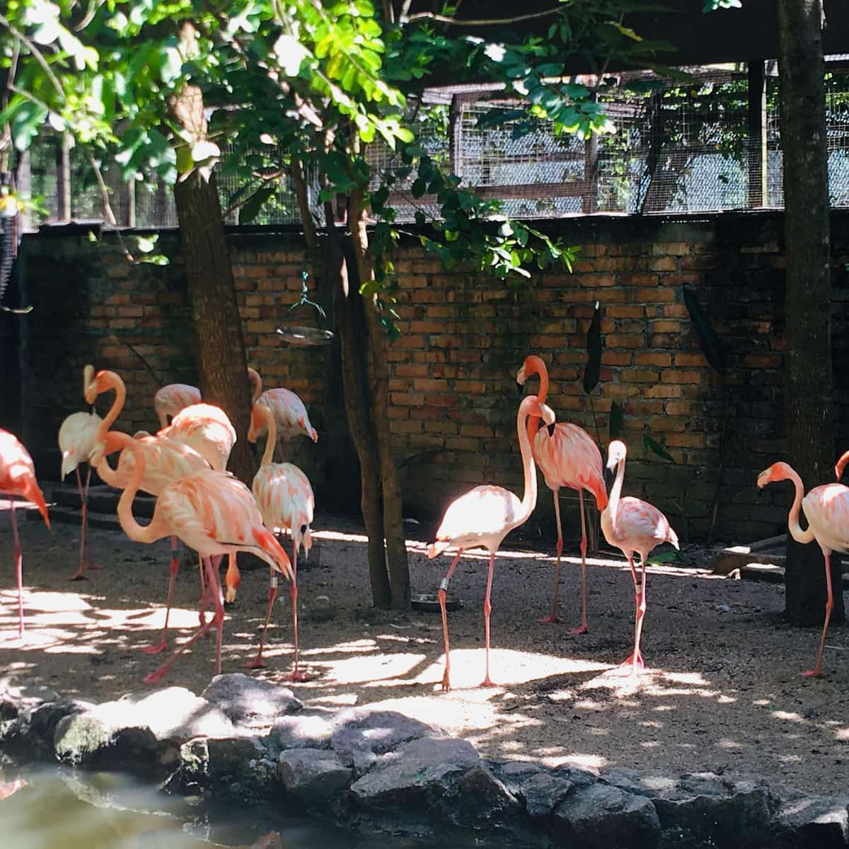 Penang Bird Park