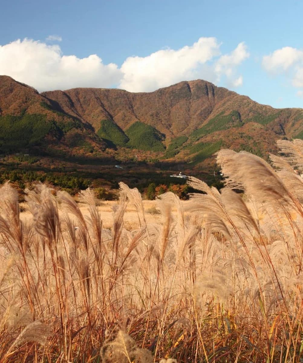 Zona de Sengokuhara