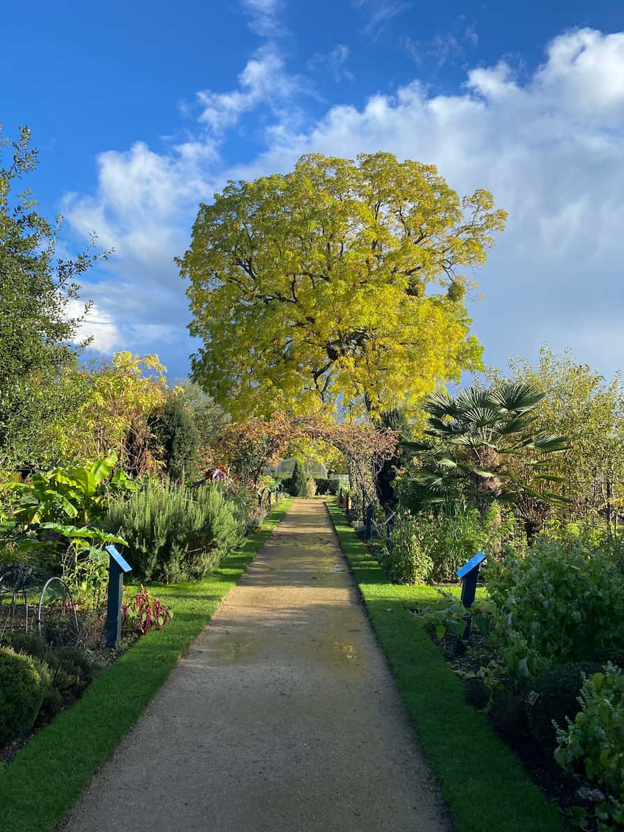 Summertown Oxford 3