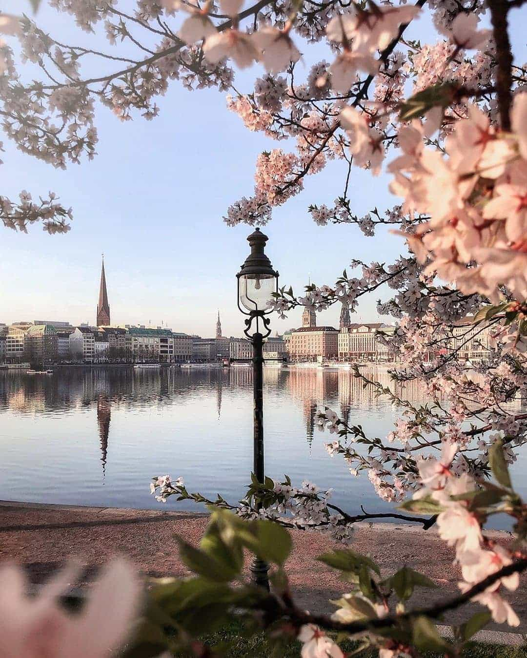 Lagos de Alster, Hamburgo, Alemania