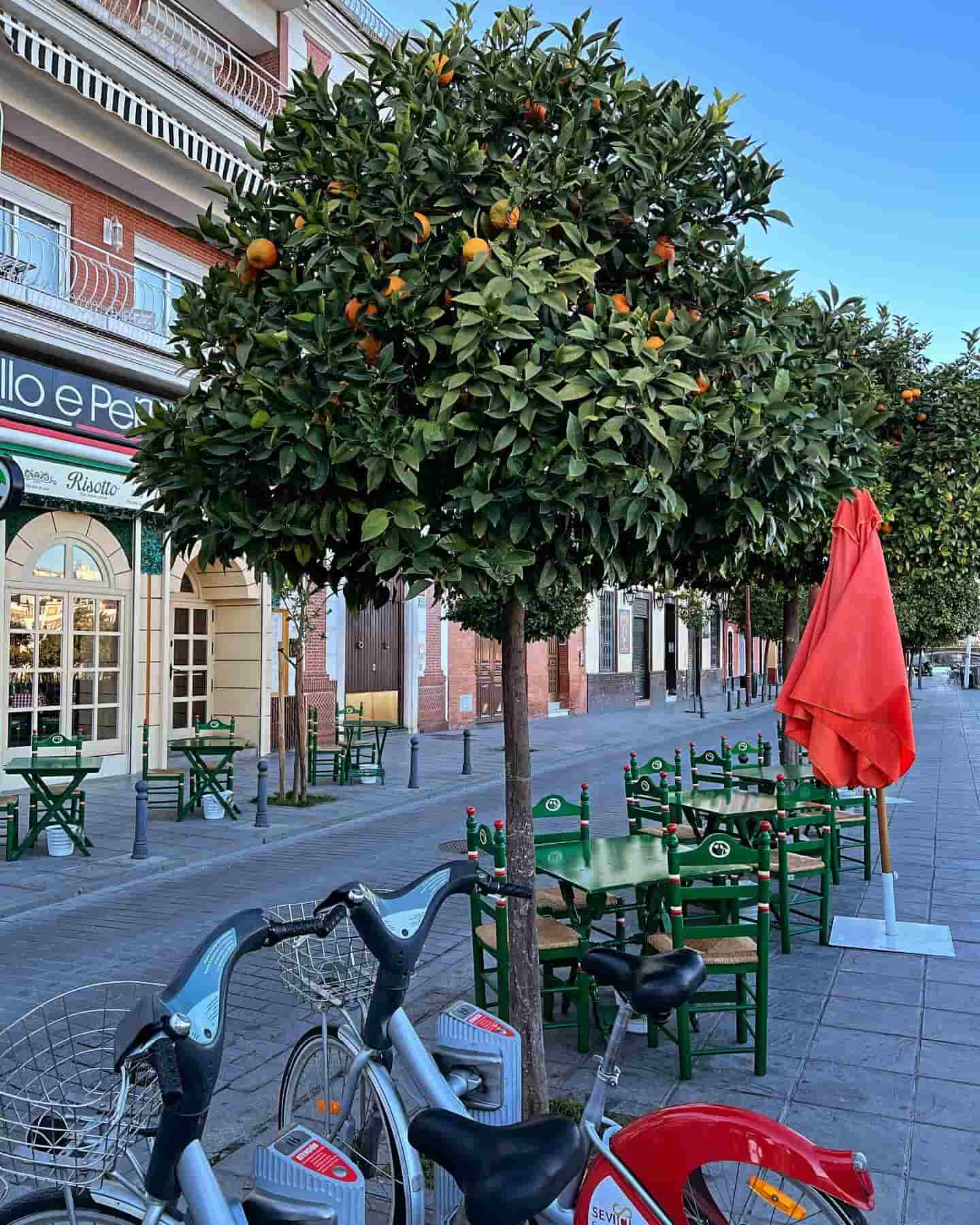 Calle Beti, Sevilla, España