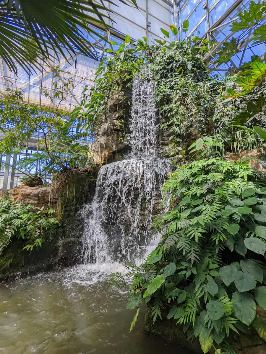 Mae Rim, Chiang Mai