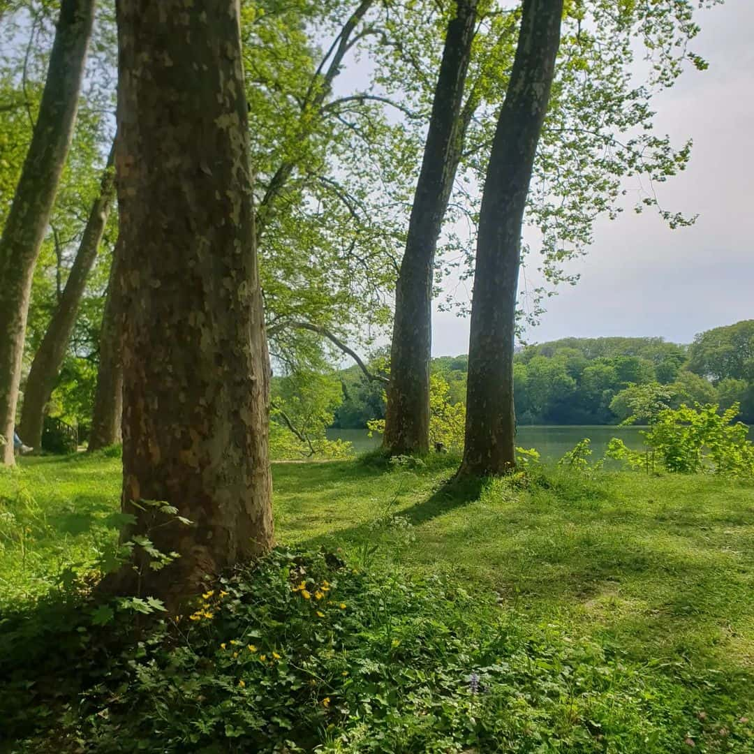 Parc de la Tête d'Or