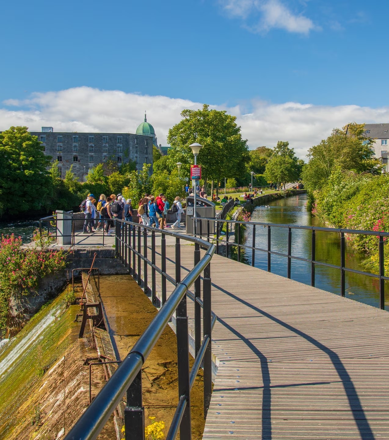 Galway City Centre 3