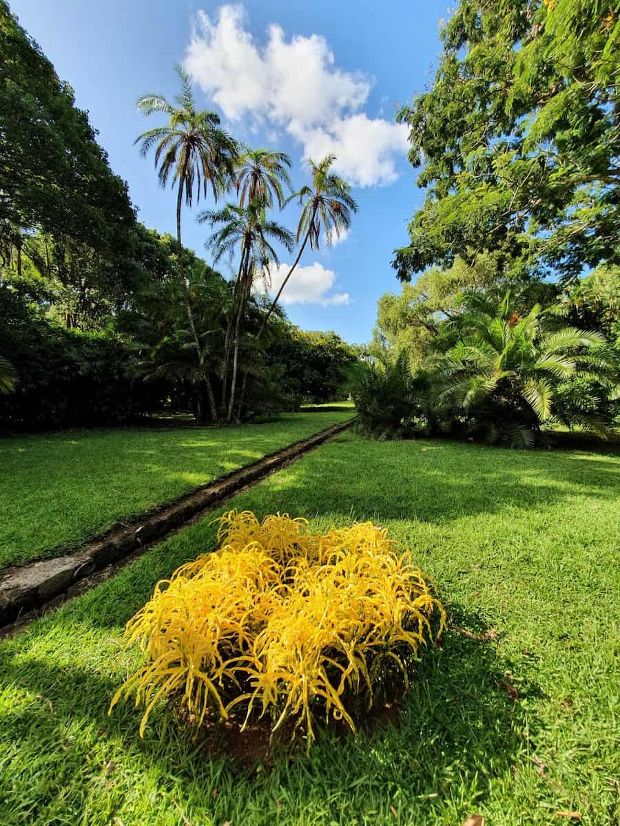 Jardín Botánico de Pamplemousses