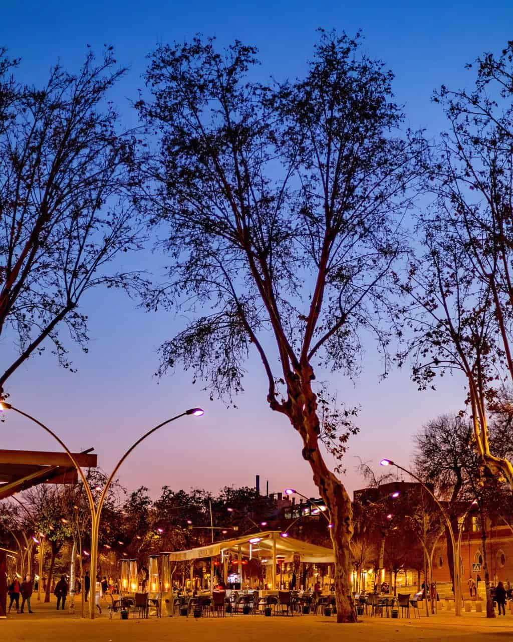 Noche en directo Alameda de Hércules, Sevilla, España