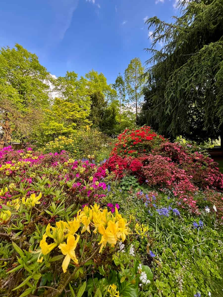 Parque y Jardín Botánico Fletcher Moss