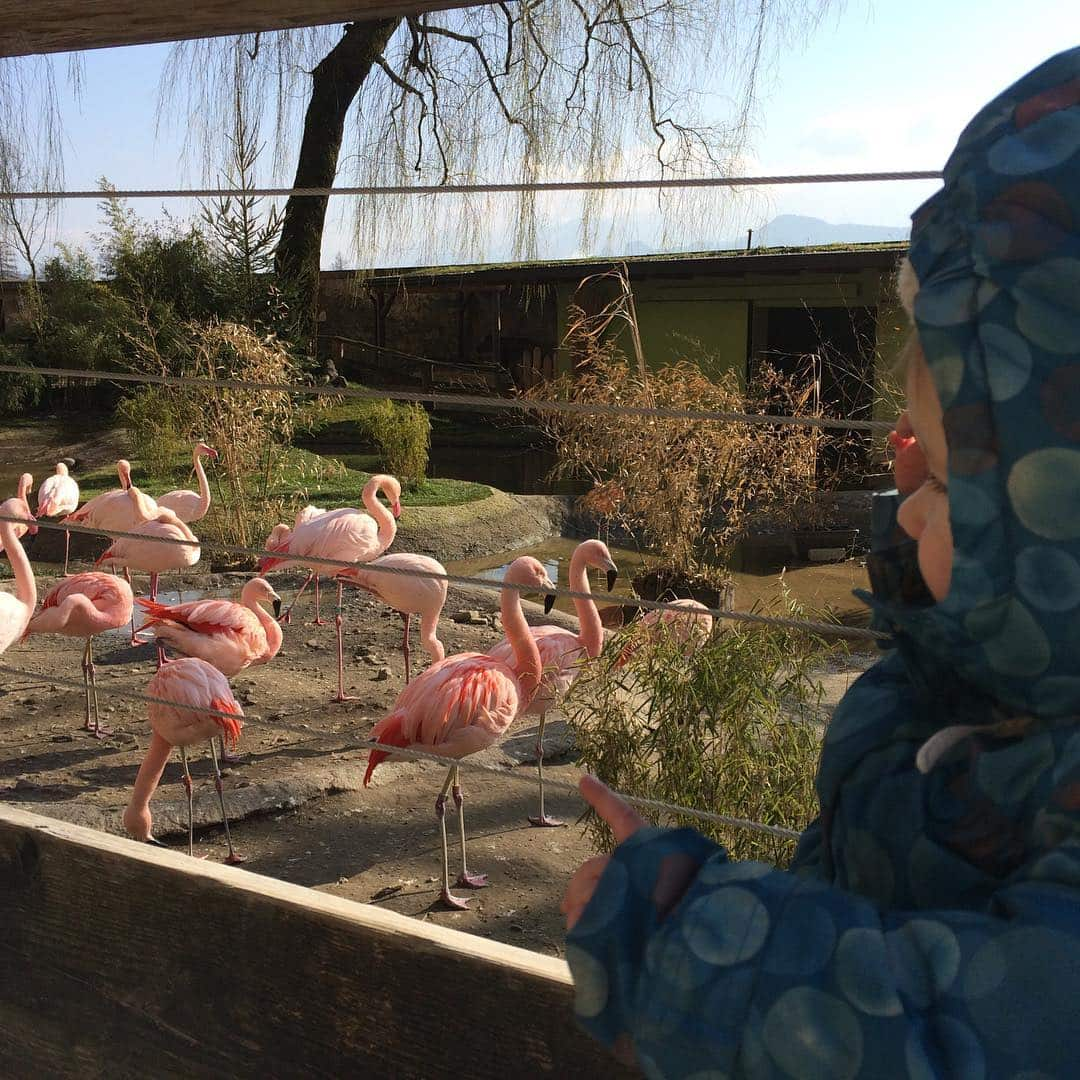 Salzburg Zoo