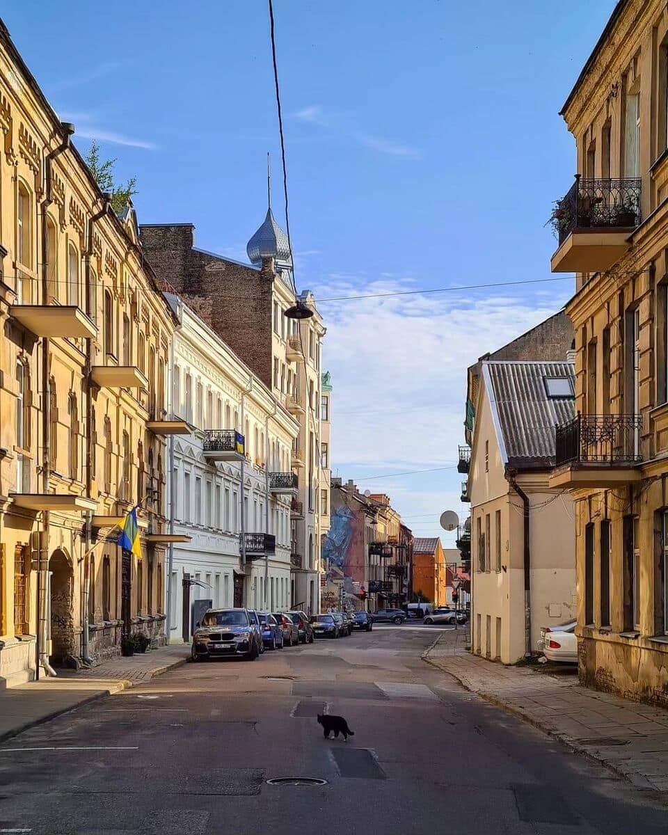 Vilnius Naujamiestis 4 1