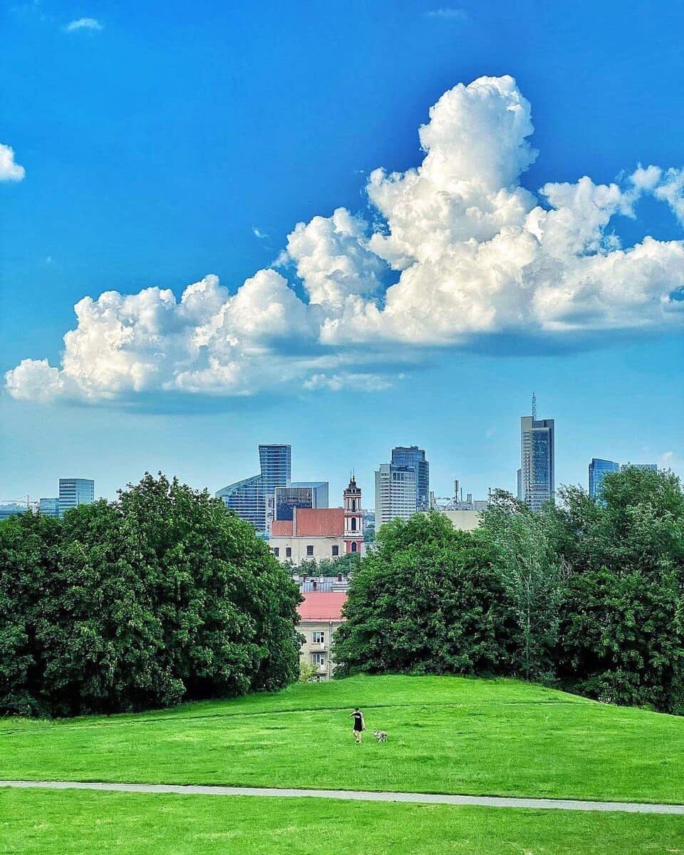 Vilnius Naujamiestis 5
