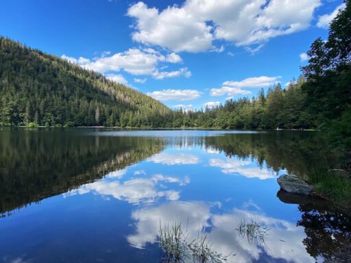 Germany, Black Forest