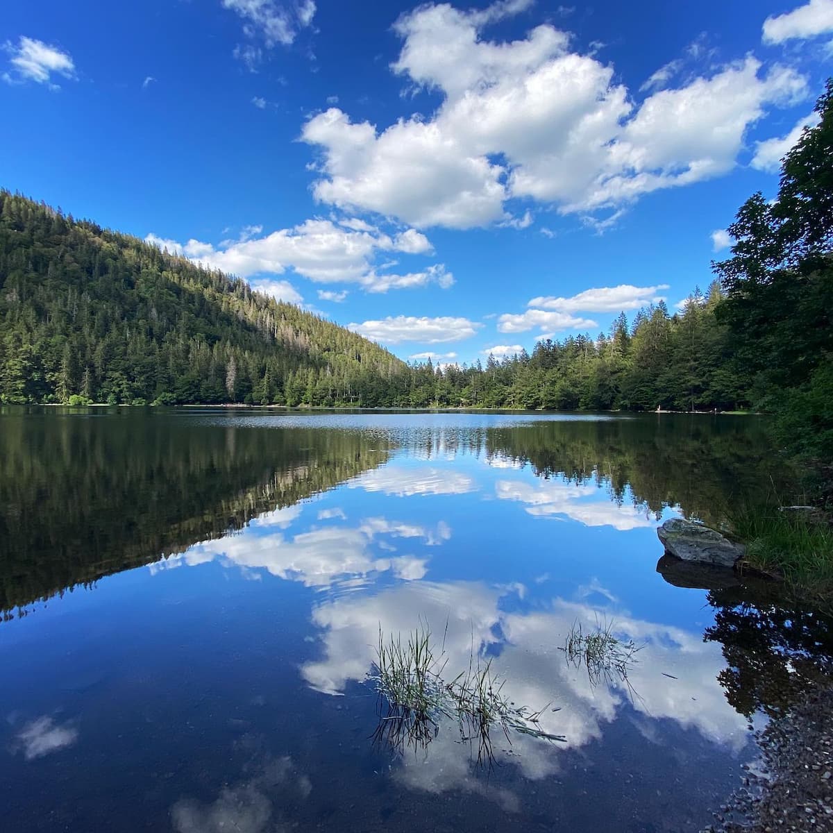 Germany, Black Forest