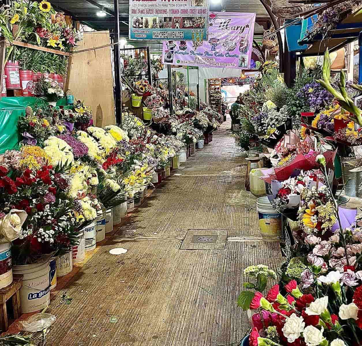 Mercado Benito Juárez,Oaxaca Mercado Benito Juárez,Oaxaca