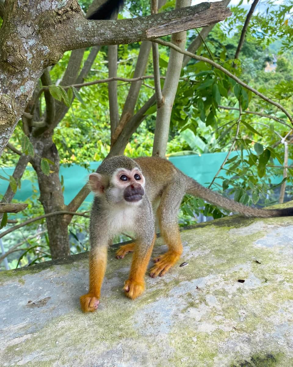 Scape Park Punta Cana Dominican Republic Scape Park Punta Cana Dominican Republic