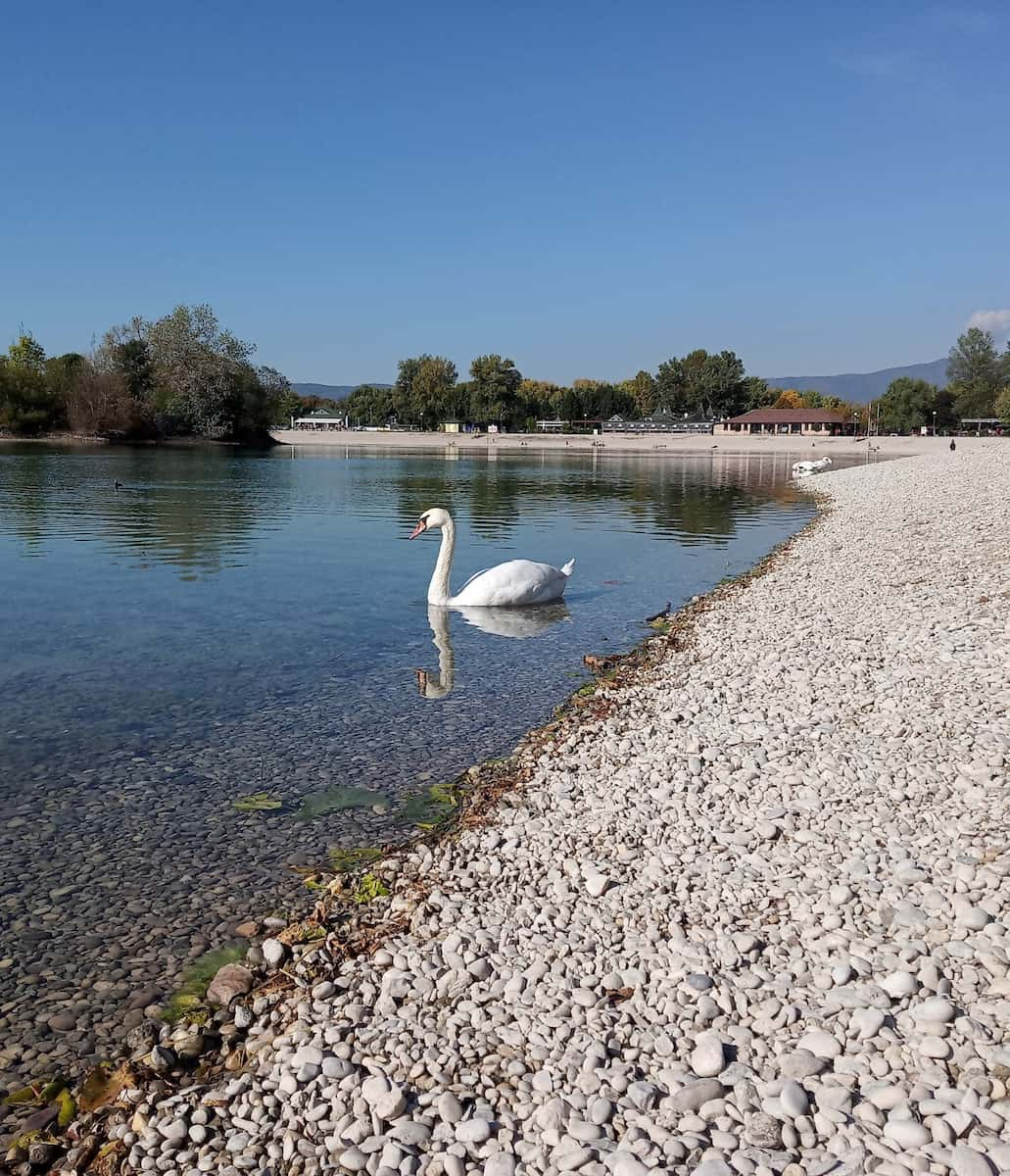 Zagreb, Lago Jarun