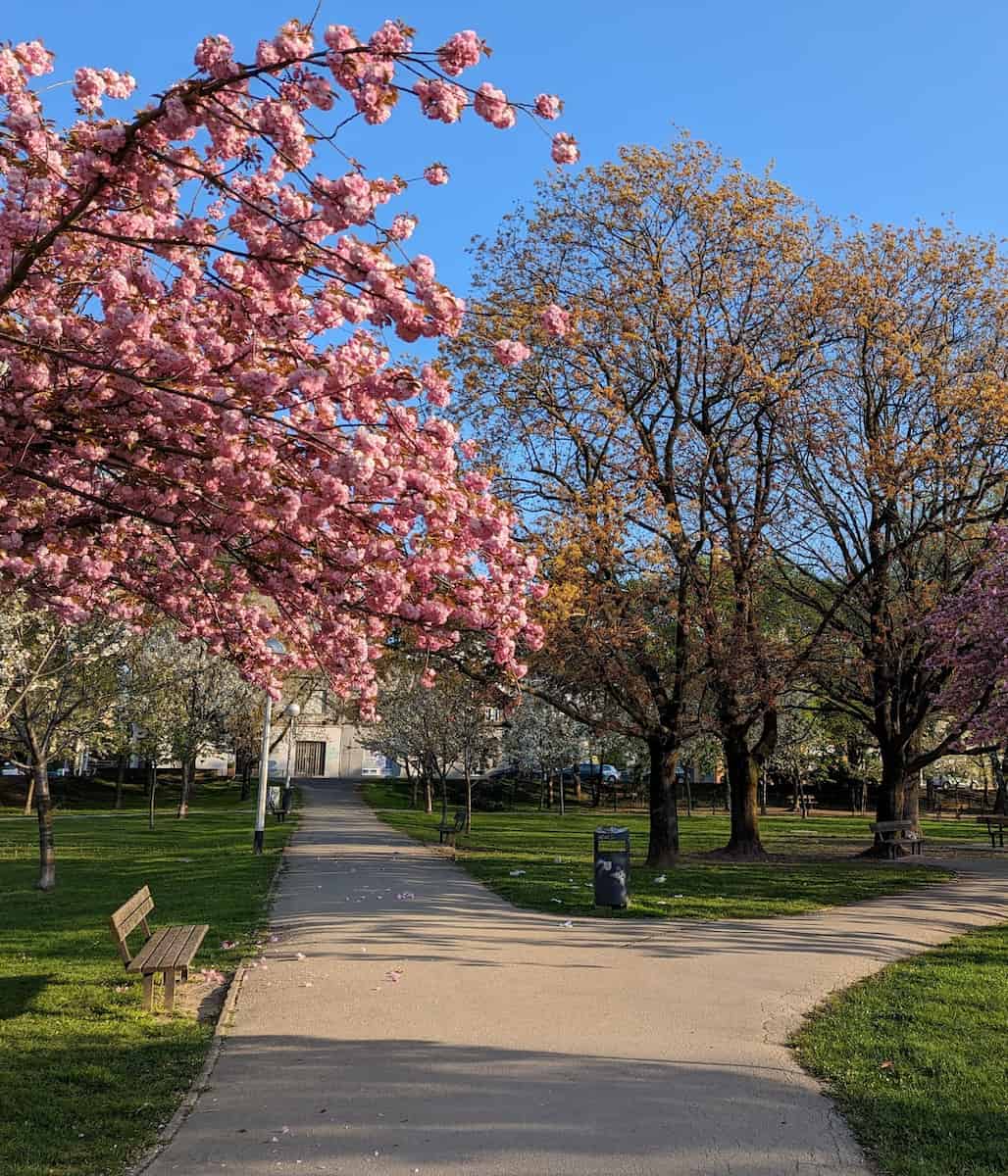 Zagreb, Parque Stara Trešnjevka