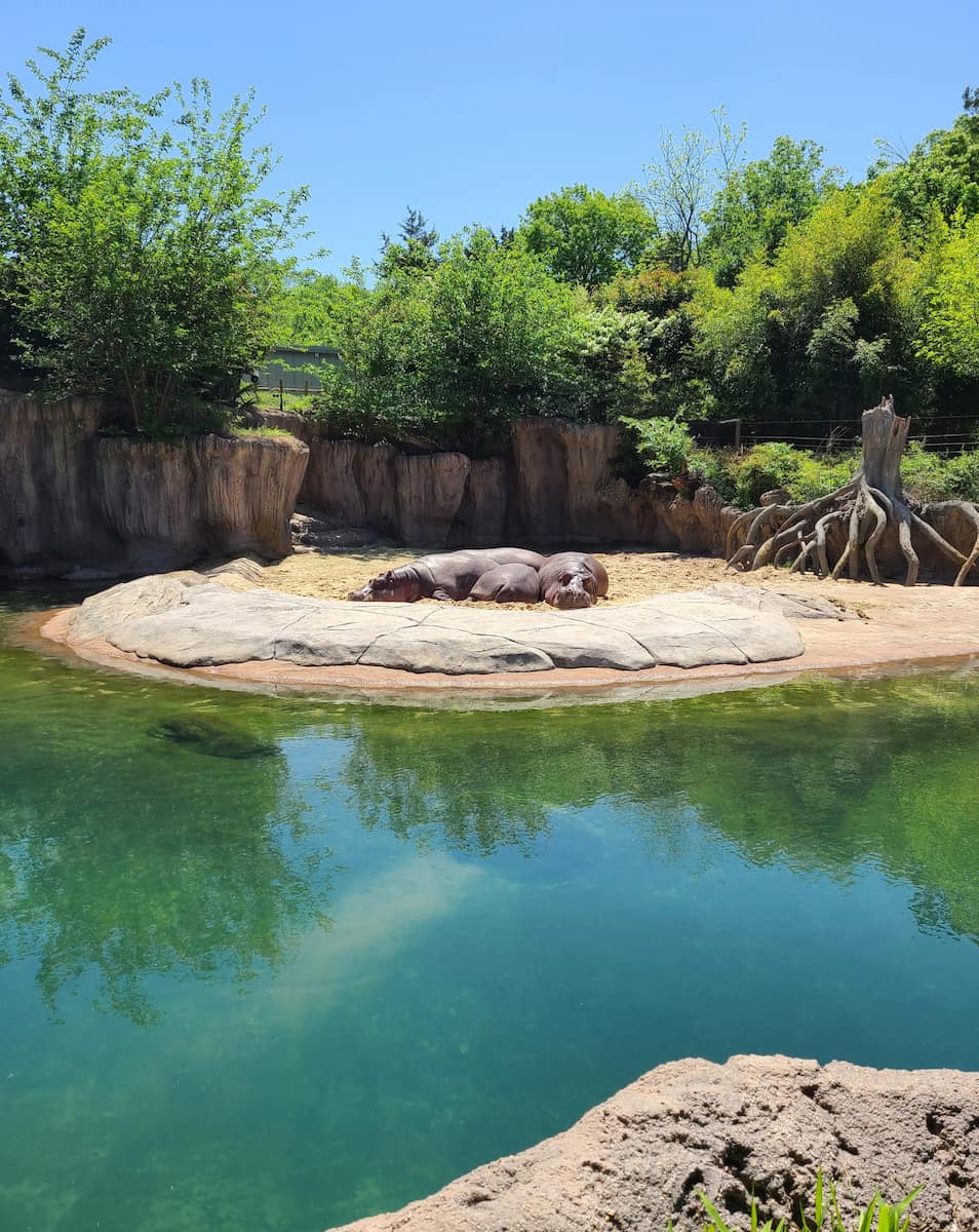 Dallas Zoo Dallas Zoo