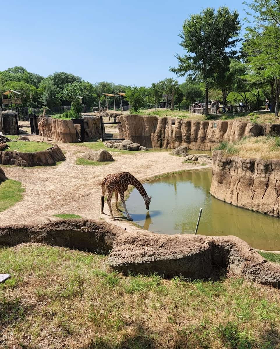 Dallas Zoo Dallas Zoo