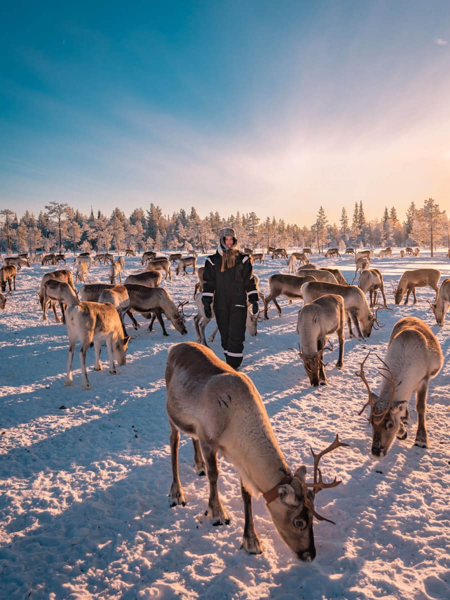 Lapland Finland 3