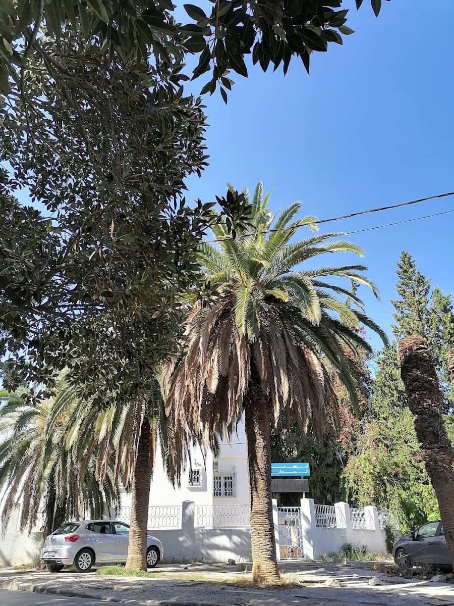 Mutuelleville, Tunis Mutuelleville, Tunis