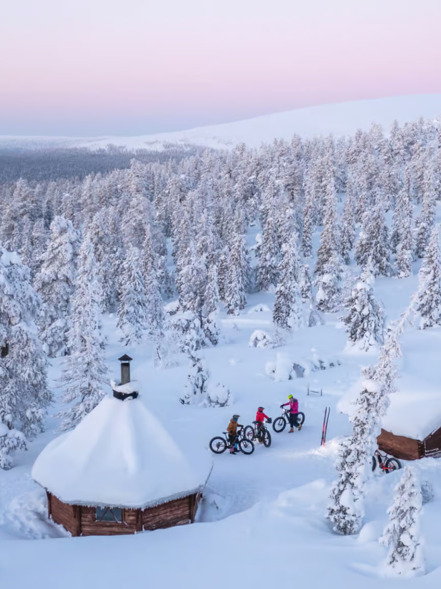 Pallas Yllastunturi National Park Yllas Lapland Finland