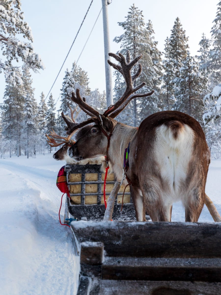 Urho Kekkonen National Park Lapland Finland 4