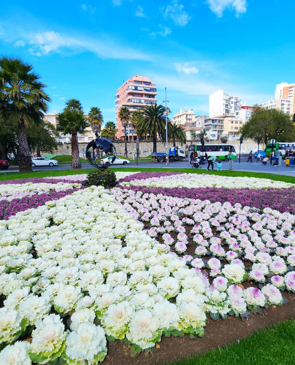 Vina Del Mar Chile1