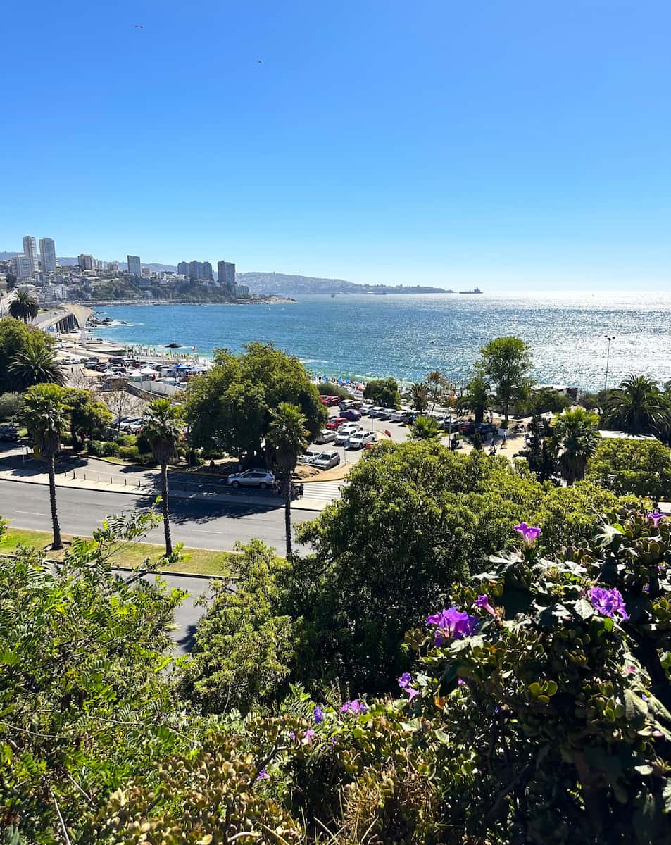 Vina Del Mar Chile4