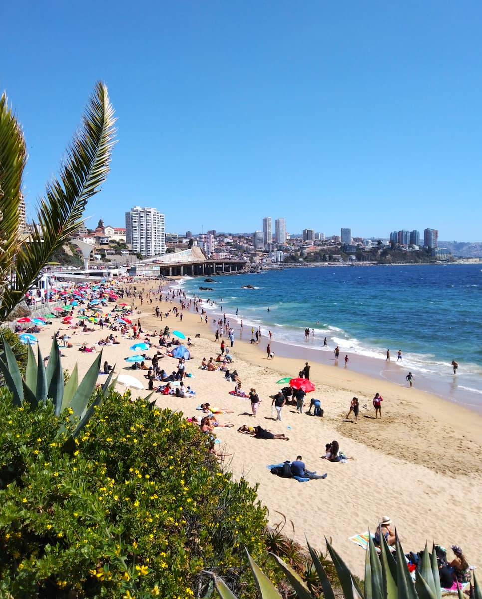 Vina Del Mar Chile5
