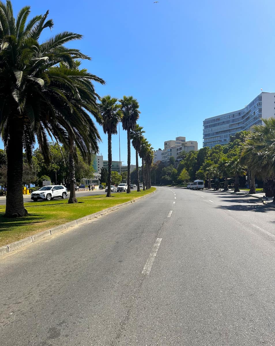 Vina Del Mar Chile6