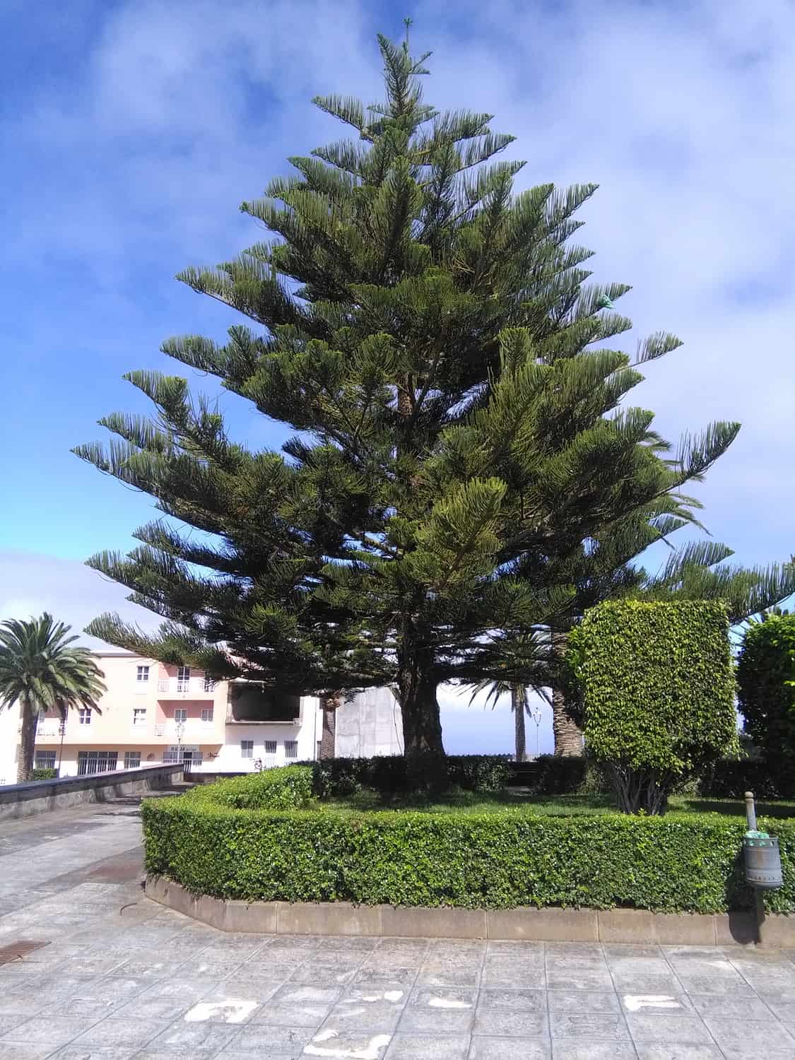Barlovento, La Palma Barlovento, La Palma
