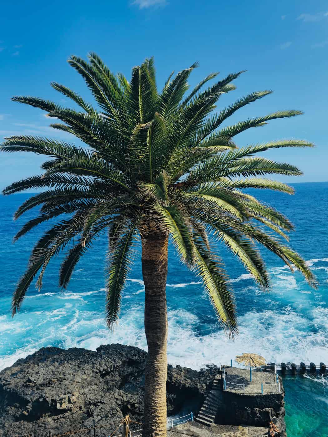 Los Cancajo, La Palma Los Cancajo La Palma 6