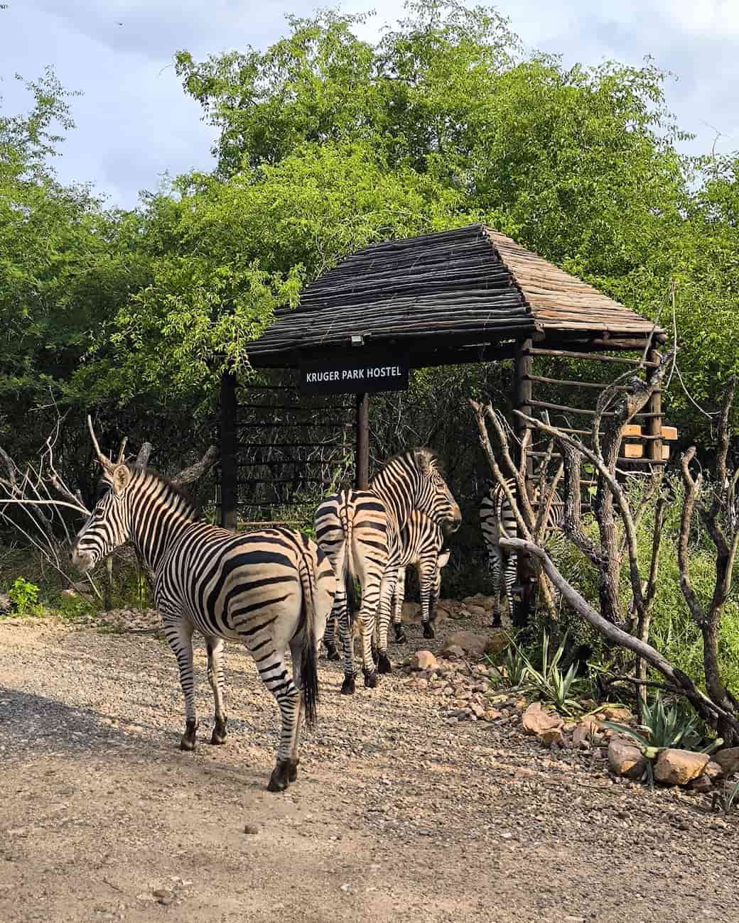 Southern Kruger, South Africa Southern Kruger, South Africa